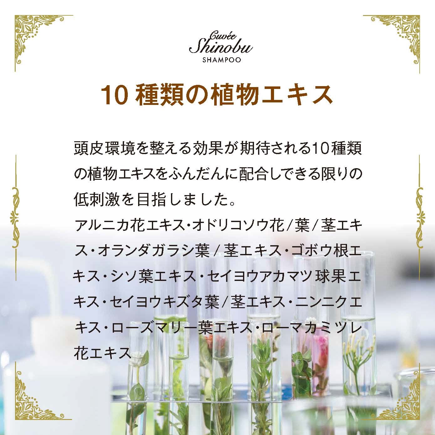 楽天市場】美容室専用 ランテージュキュベシノブ シャンプー 400mL