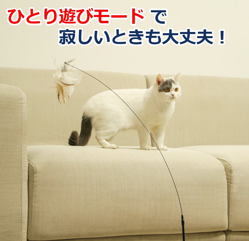 楽天市場】猫じゃらし おもちゃ 自動 吸盤 ねこ ネコ 1人遊び ワイヤー