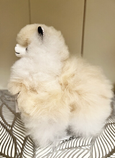 楽天市場】【送料込み】Alpaca アルパカの毛100％でできたぬいぐるみ