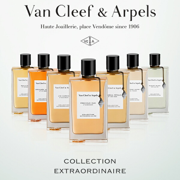 楽天市場】【先着限定☆最大1200円OFFクーポン（3/4 20:00~）】ヴァン