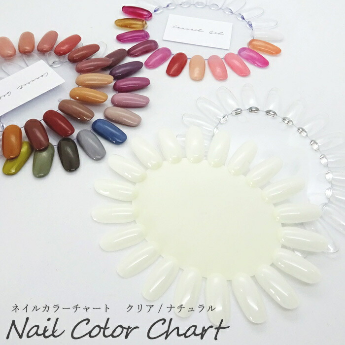 楽天市場】【訳あり】ネイル クリア カラーチャート 20チップ ディスク