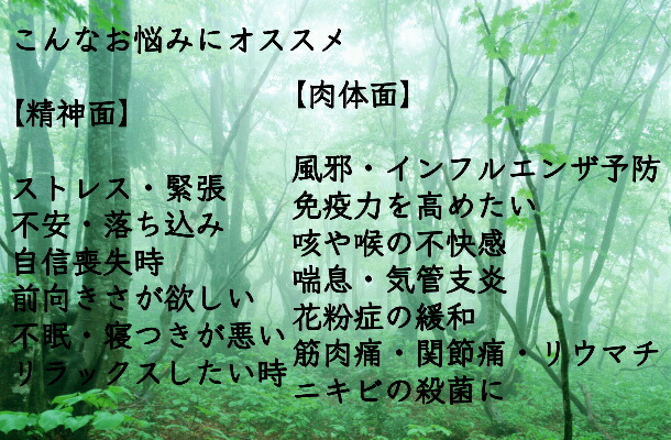 楽天市場】ラヴィンサラ ラヴィンツァラ ラベンサラ 精油 10ml 免疫力