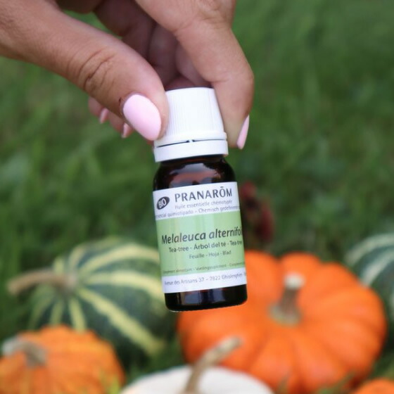 AYU様 プラナロム ティートゥリー 30ml、ペパーミント 30ml 精油 AYU様