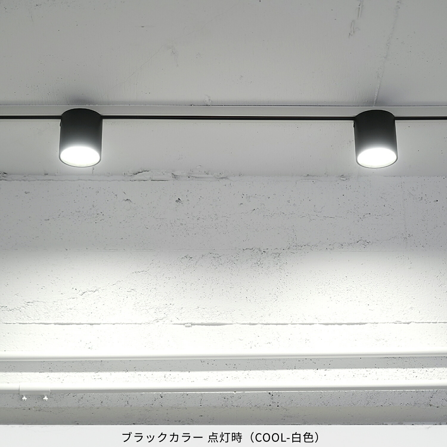 楽天市場】【アートワークスタジオ公式】ダウンライト【Grid-duct down