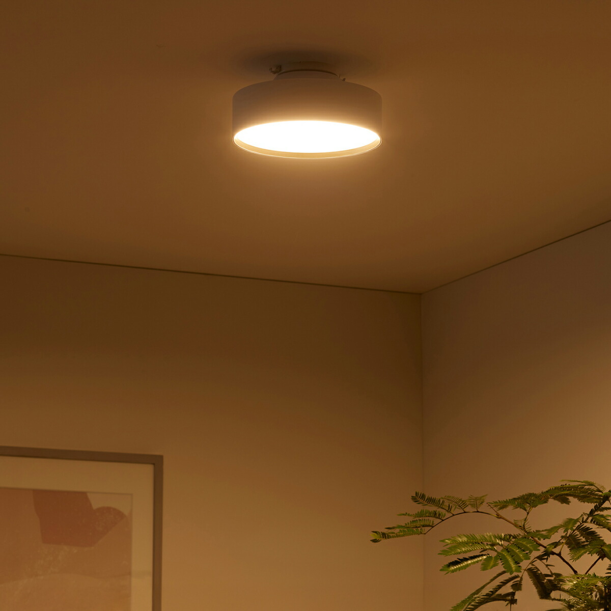 楽天市場】【アートワークスタジオ公式】 シーリングライト 2畳 3畳 4