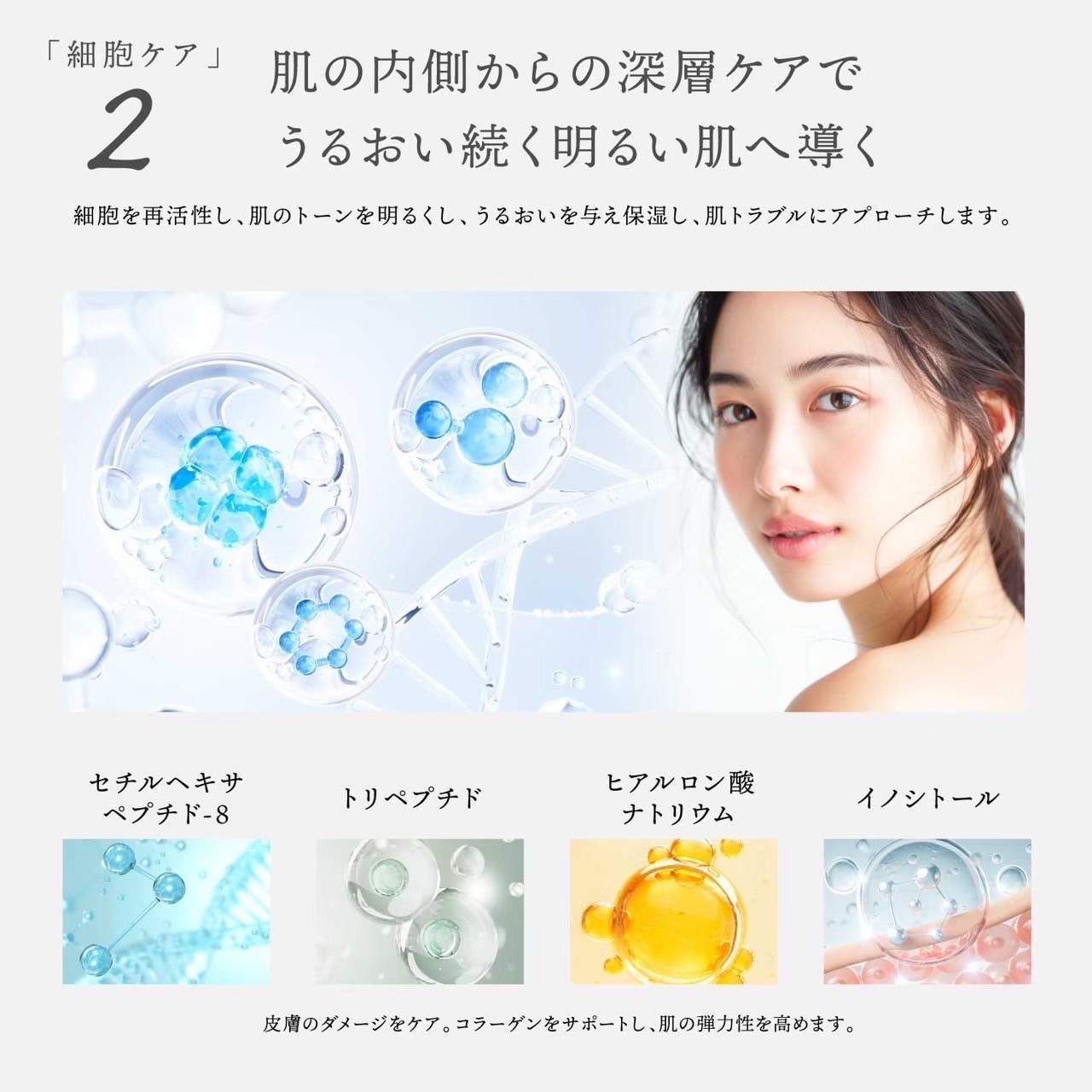 楽天市場】公式 Dr.Kozu ヴァンパイアマスク 6回分 | 美容パック