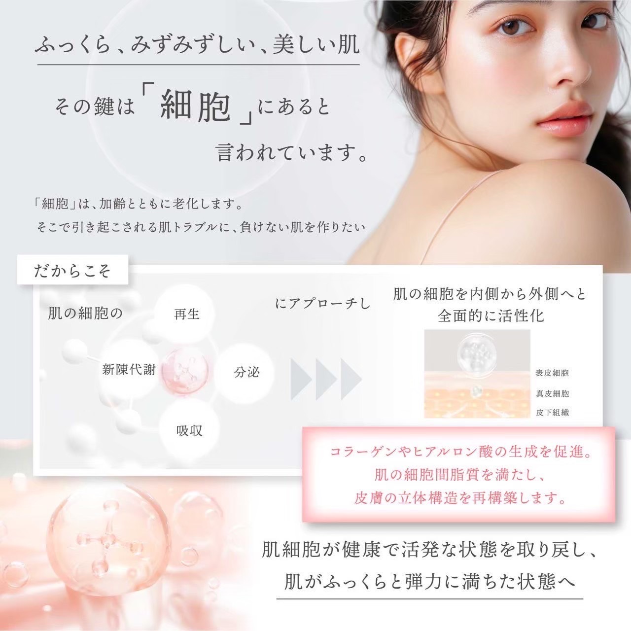 楽天市場】公式 Dr.Kozu ヴァンパイアマスク 6回分 | 美容パック