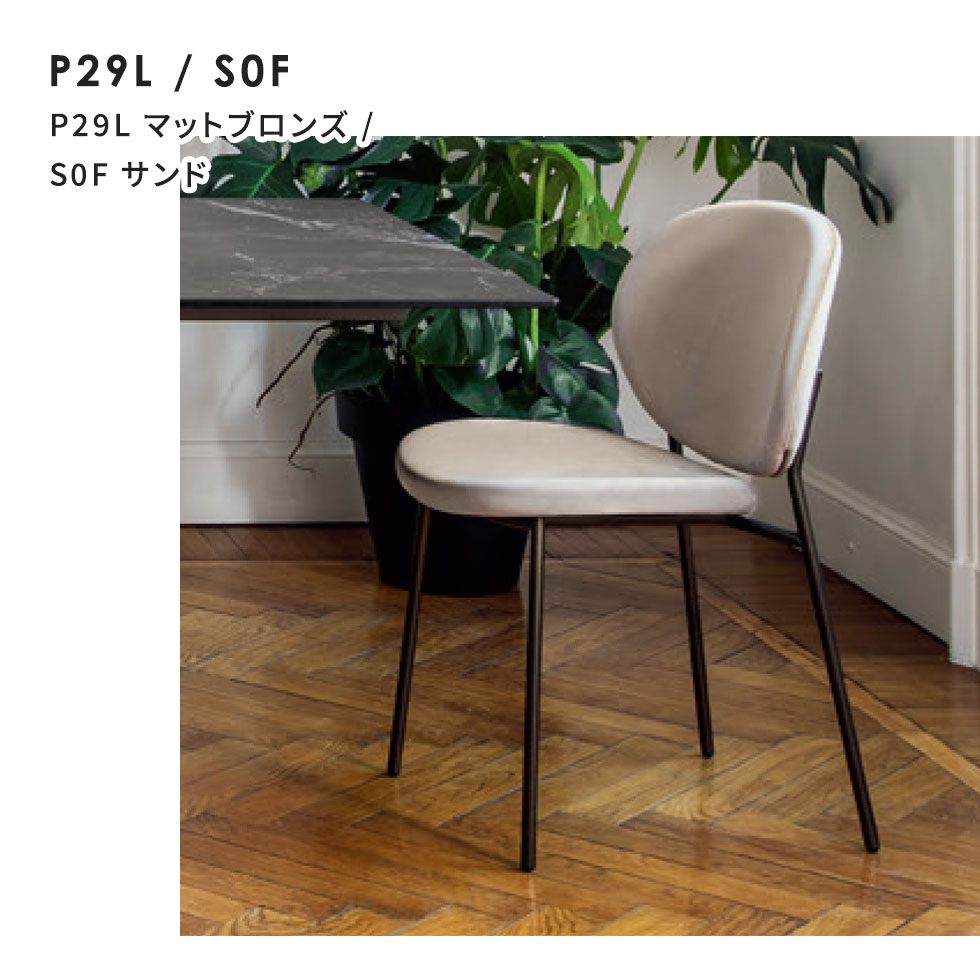 楽天市場】【正規品1年保証 ポイント10倍 特典付き】 calligaris