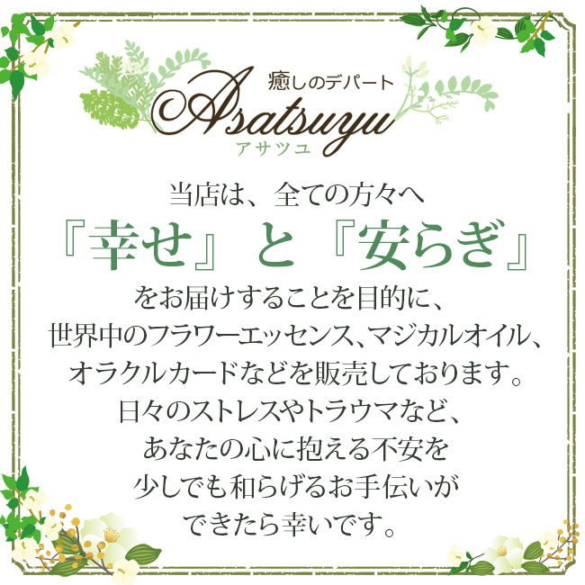 楽天市場】ビューティー＆ビースト Beauty and the Beast パワーオブ