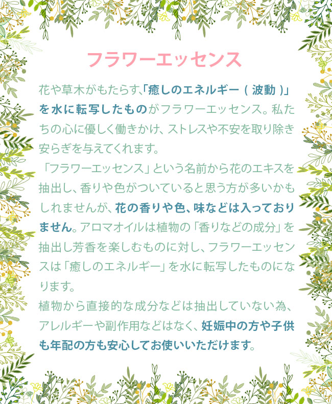 楽天市場】No.36 コルテPHIエッセンス オーシャンエッセンス