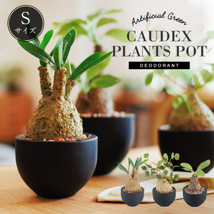 楽天市場】CT触媒 コーデックスS 塊根植物 フェイクグリーン おしゃれ