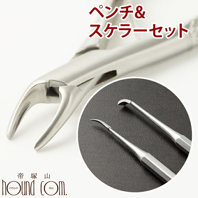 楽天市場】愛犬・愛猫歯石取りペンチとスケラーセット 犬 歯磨き