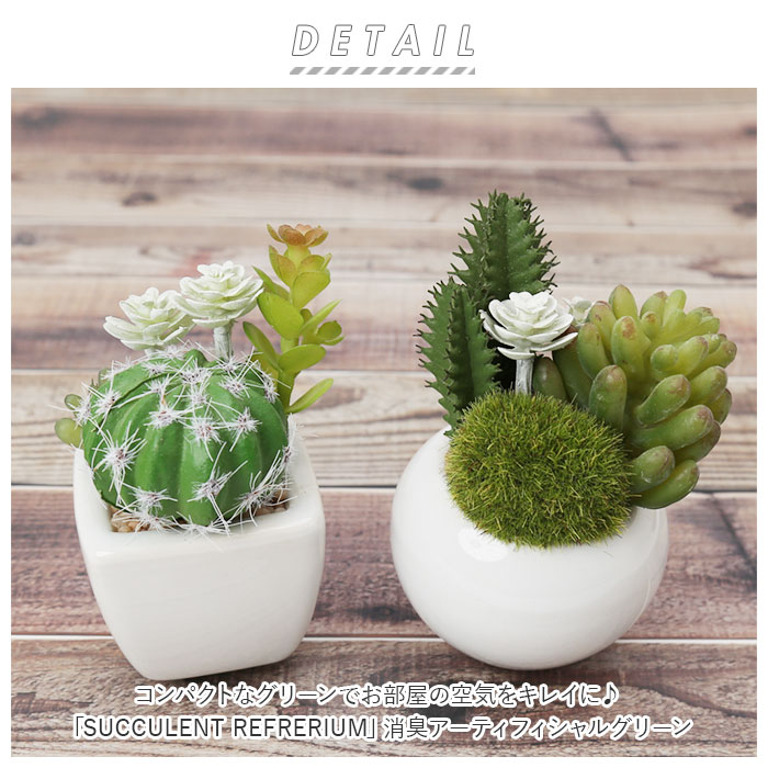 楽天市場】多肉植物 サボテン フェイク 通販 おしゃれ 小さい CT触媒