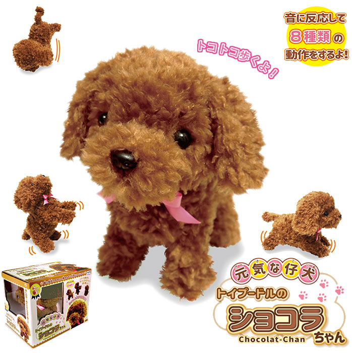 楽天市場】犬 ぬいぐるみ 動く 好評 動くおもちゃ トイプードル