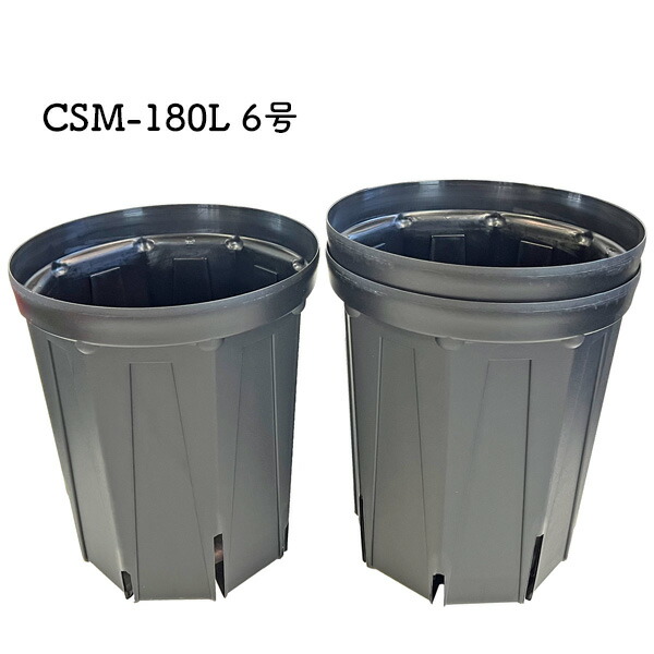 スリット鉢 ロング」の人気商品一覧 | 安い商品を通販サイトから探す