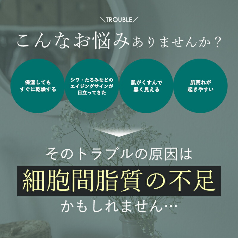 マリアギャランクリーム262とマリアギャランロゴいりオリジナルポーチ