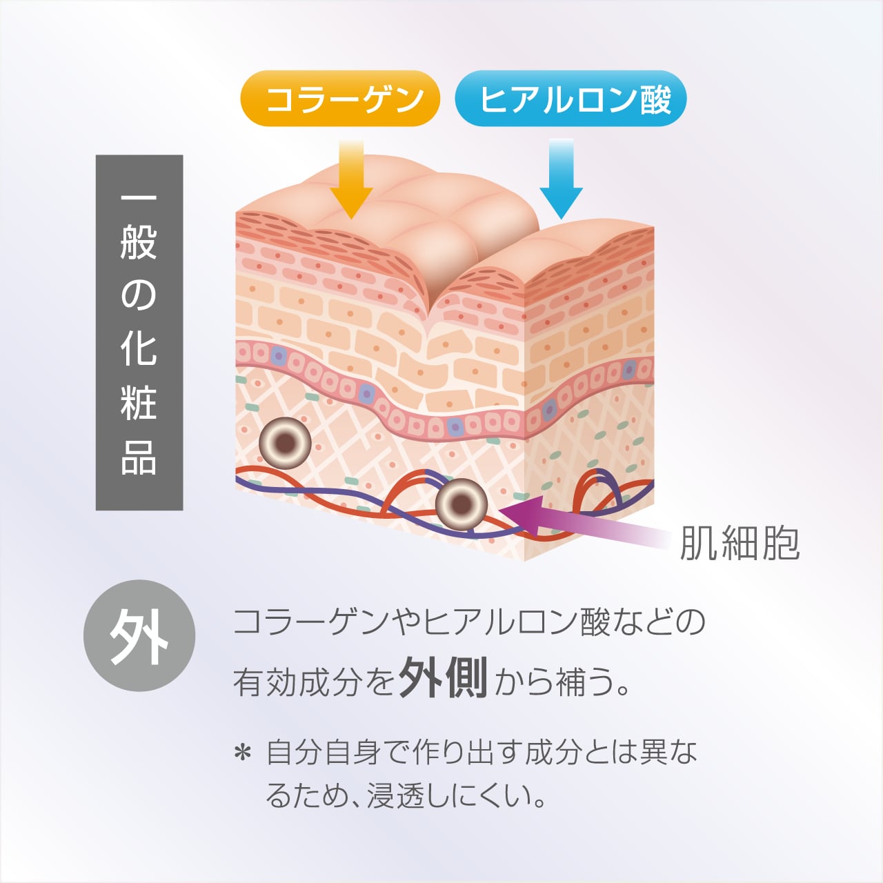 楽天市場】【正規販売認証店】ダーウィン リジェニティ FKクリーム