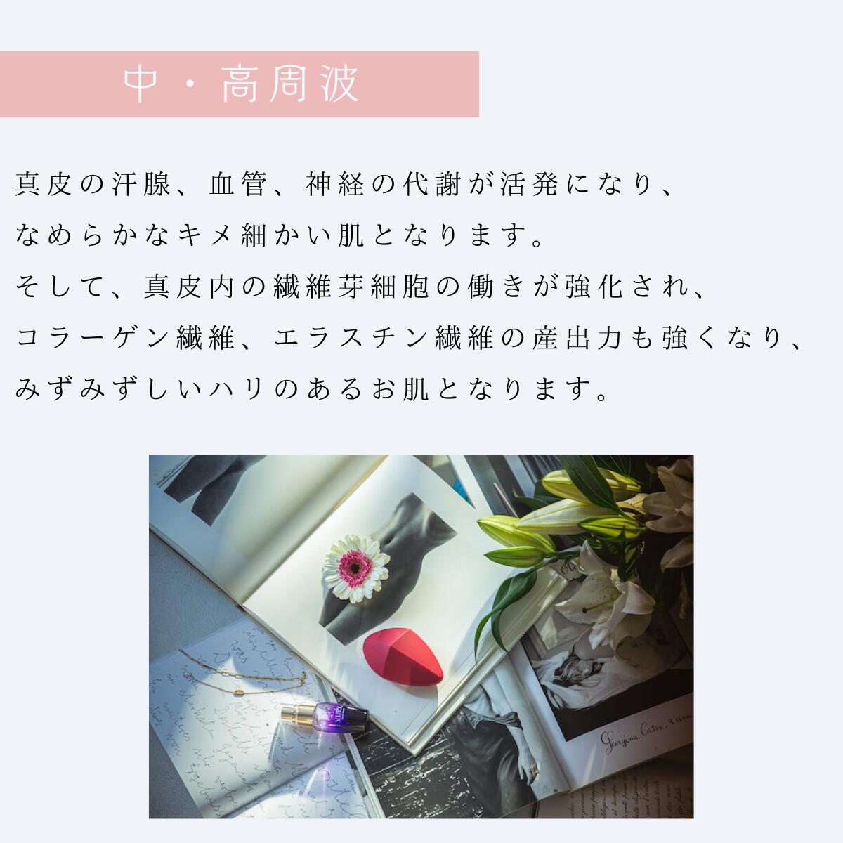 楽天市場】Vippy ビッピー VippyBeautySerum 総合美容液 デリケート