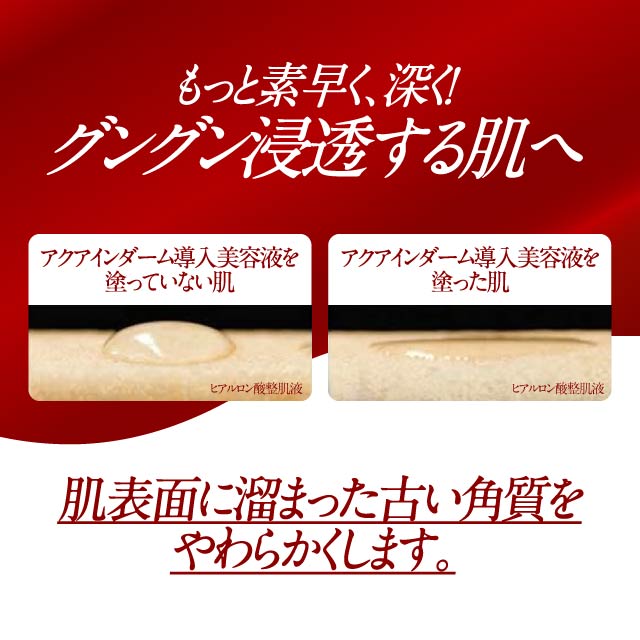 楽天市場】ドクターシーラボ アクア インダーム 導入 エッセンス EX