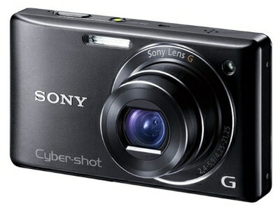 楽天市場】dsc－w380 バッテリーの通販