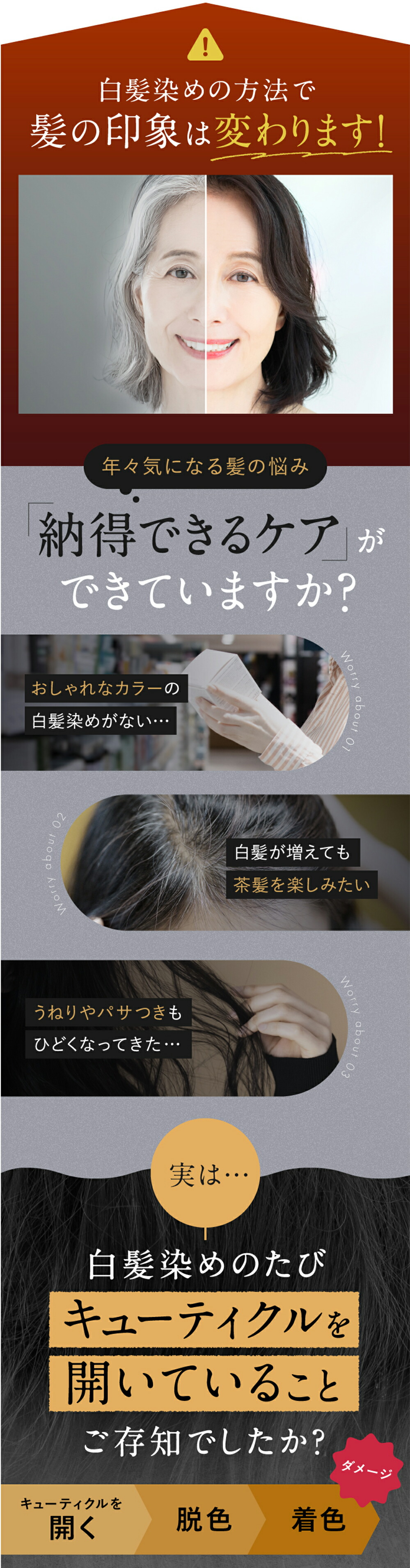 楽天市場】＼ 楽天1位 5冠 ／【公式】Na.be ヘアカラーシャンプー Nabe