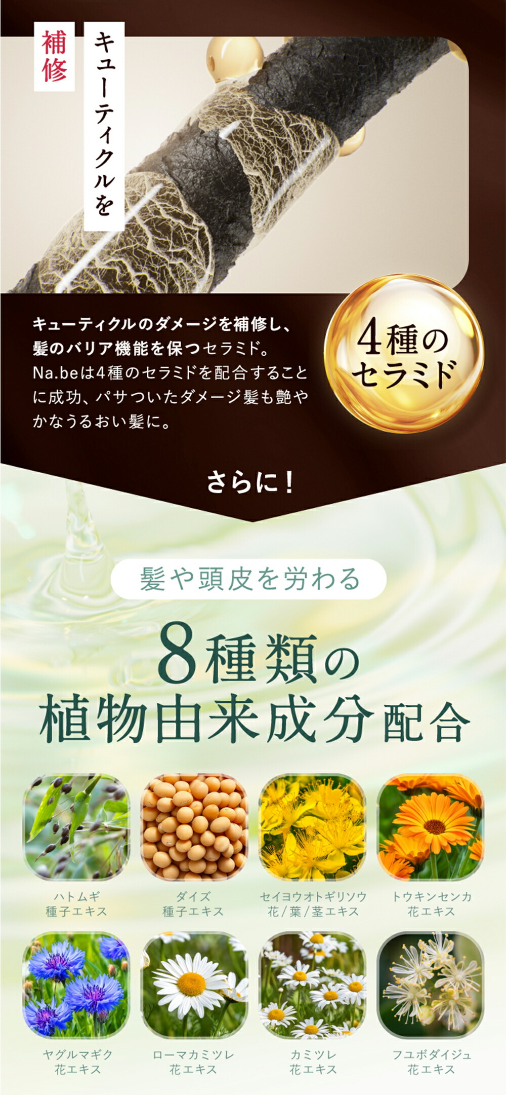 楽天市場】＼ 楽天1位 5冠 ／【公式】Na.be ヘアカラーシャンプー Nabe