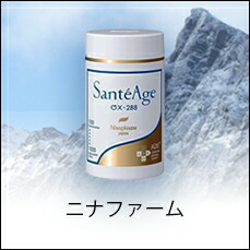 楽天市場】ニナファーム サンテアージュOX-288 180粒 賞味期限2027年5