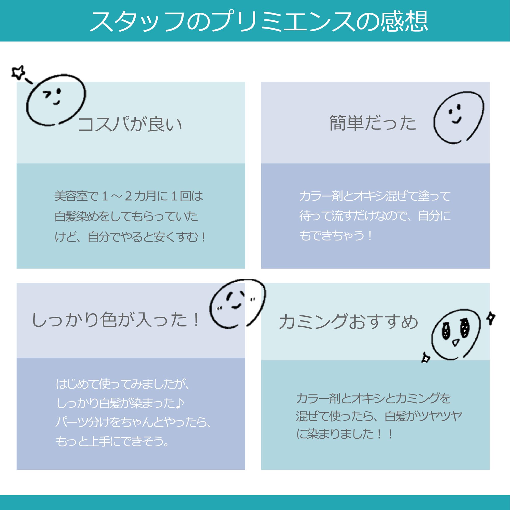 楽天市場】白髪染め 資生堂 プリミエンス エンリッチ ライン 80g 1本