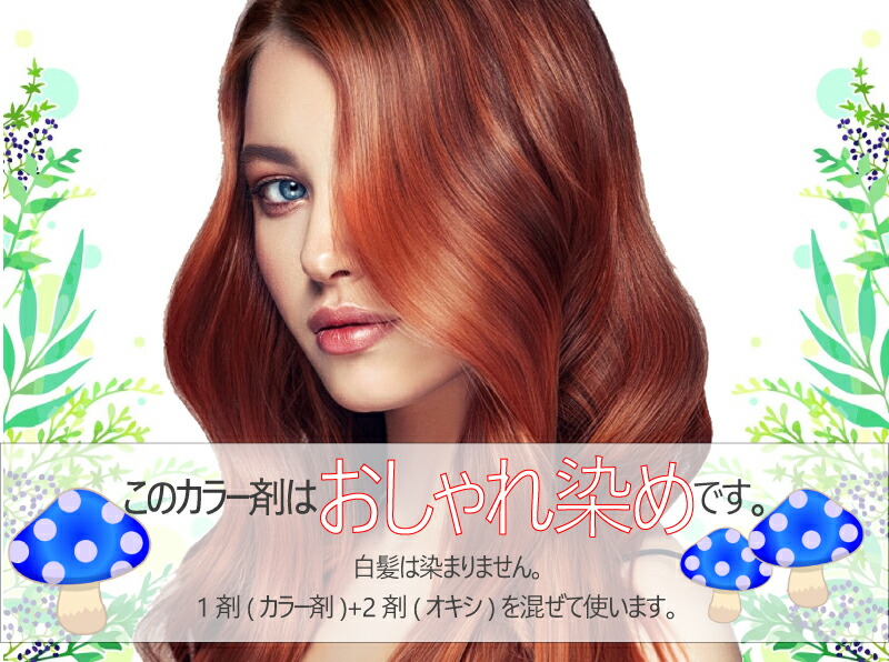 楽天市場】アリミノ アジアンカラー FES オキシ 1.2リットル セット