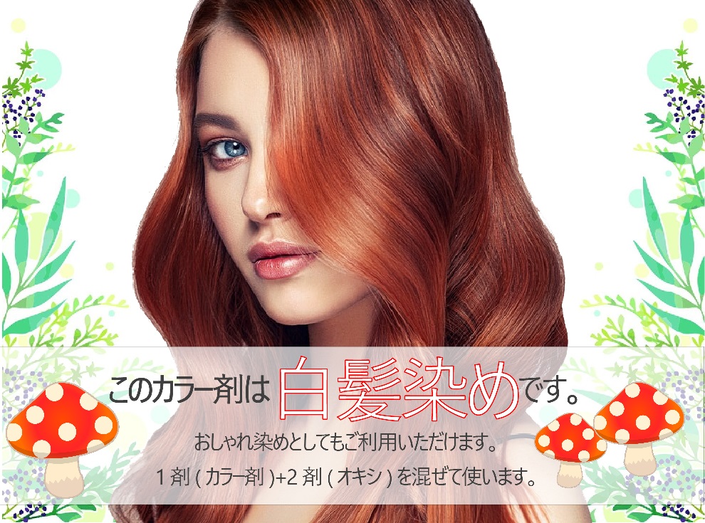 楽天市場】白髪染め シュワルツコフ テラ マホガニー バフ サンド