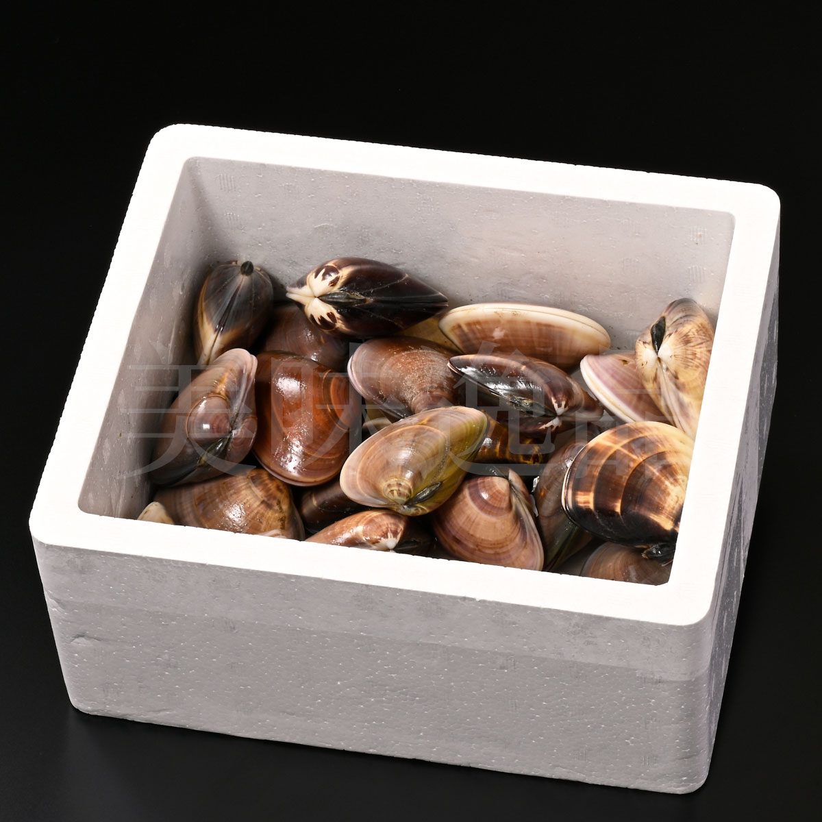 楽天市場】九十九里浜産 天然はまぐり 中サイズ 2kg（40個前後）漁師