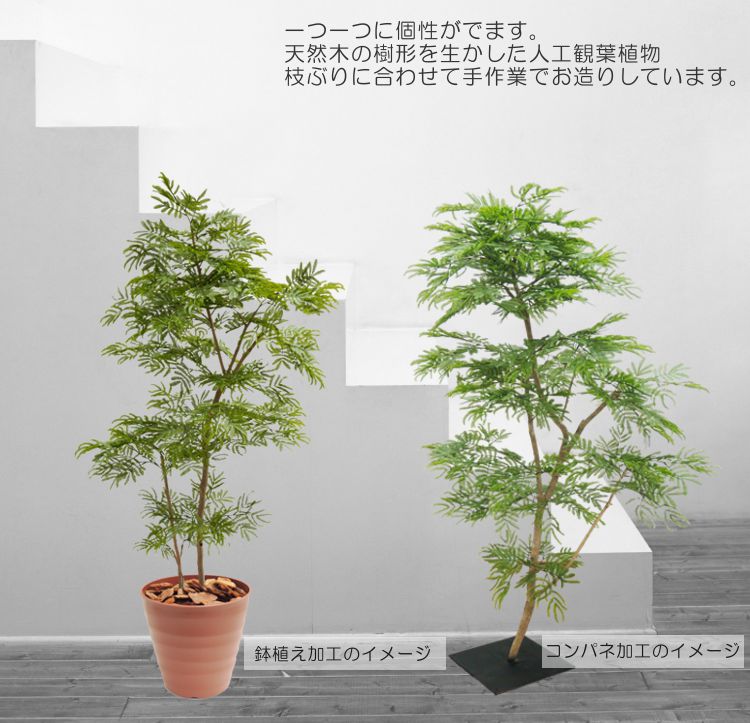 楽天市場】エバーフレッシュ 180cm (ネムノキ 造花 樹木 人工観葉植物