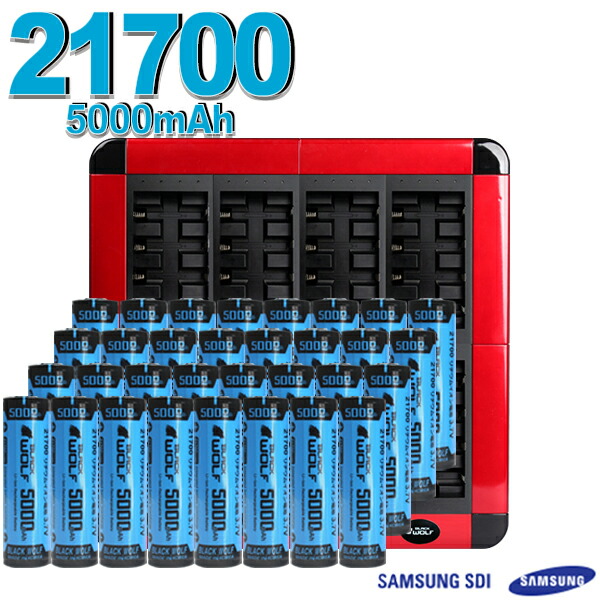 楽天市場】【エントリーでP10倍♪2/28(土）迄】大型 充電器 急速