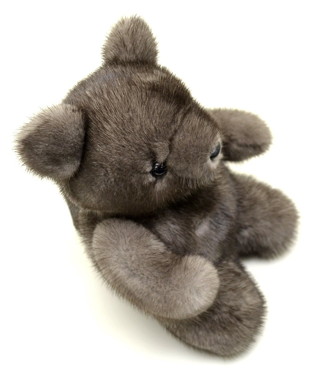 楽天市場】【未使用品】NORTHERN WORLD ノーザン ワールド アメリカン