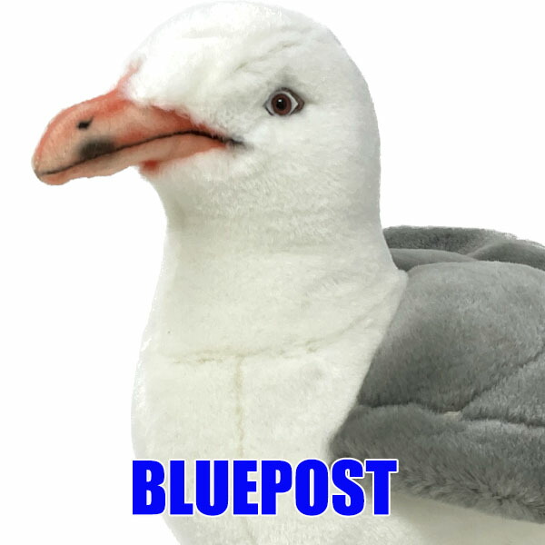 楽天市場】カモメ 7259 ハンサ hansa かもめ seagull herring 鳥 とり