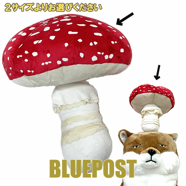 楽天市場】☆サイズをお選びください☆毒きのこ・ベニテングダケ