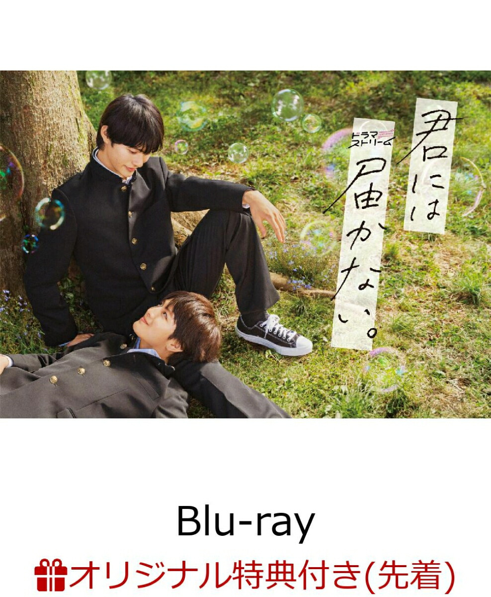 楽天ブックス: 君には届かない。 Blu-ray BOX【Blu-ray】 - 前田拳太郎