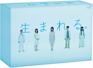 楽天ブックス: ミス・パイロット DVD-BOX - 堀北真希 - 4988632147026