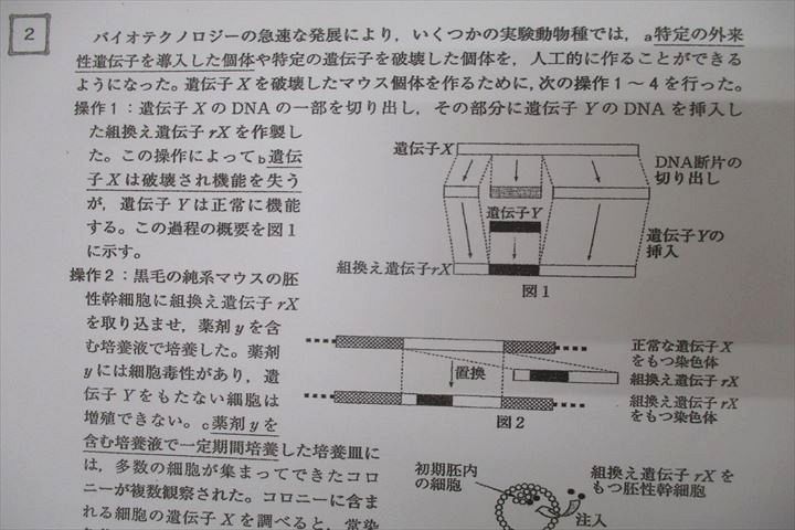 楽天市場】駿台 生物S Part1/2 テキスト通年セット 2022 計4冊 中井