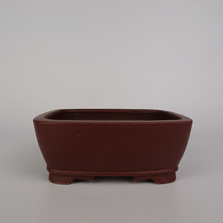 楽天市場】盆栽鉢 常滑 柴勝 小型 長辺 約12.5cm 長方鉢 外縁 段足 泥