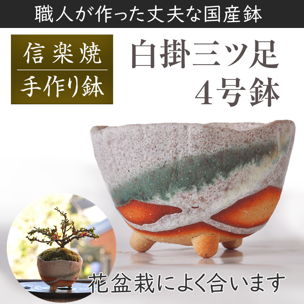楽天市場】盆栽鉢 山野草鉢 信楽焼 白掛三ツ足 幅 11cm 3.5号 〜 4号