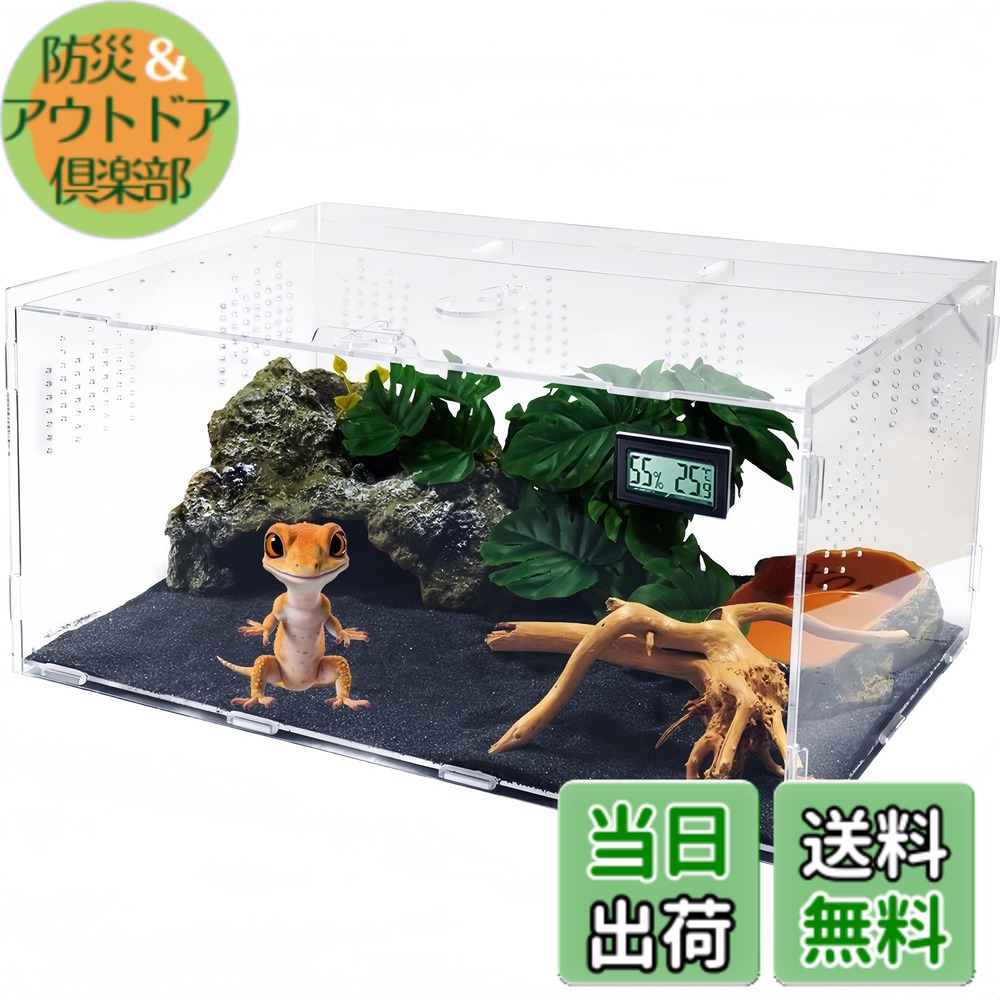 楽天市場】【送料無料】Niesporek 爬虫類 トカゲ ケージ カナヘビ飼育