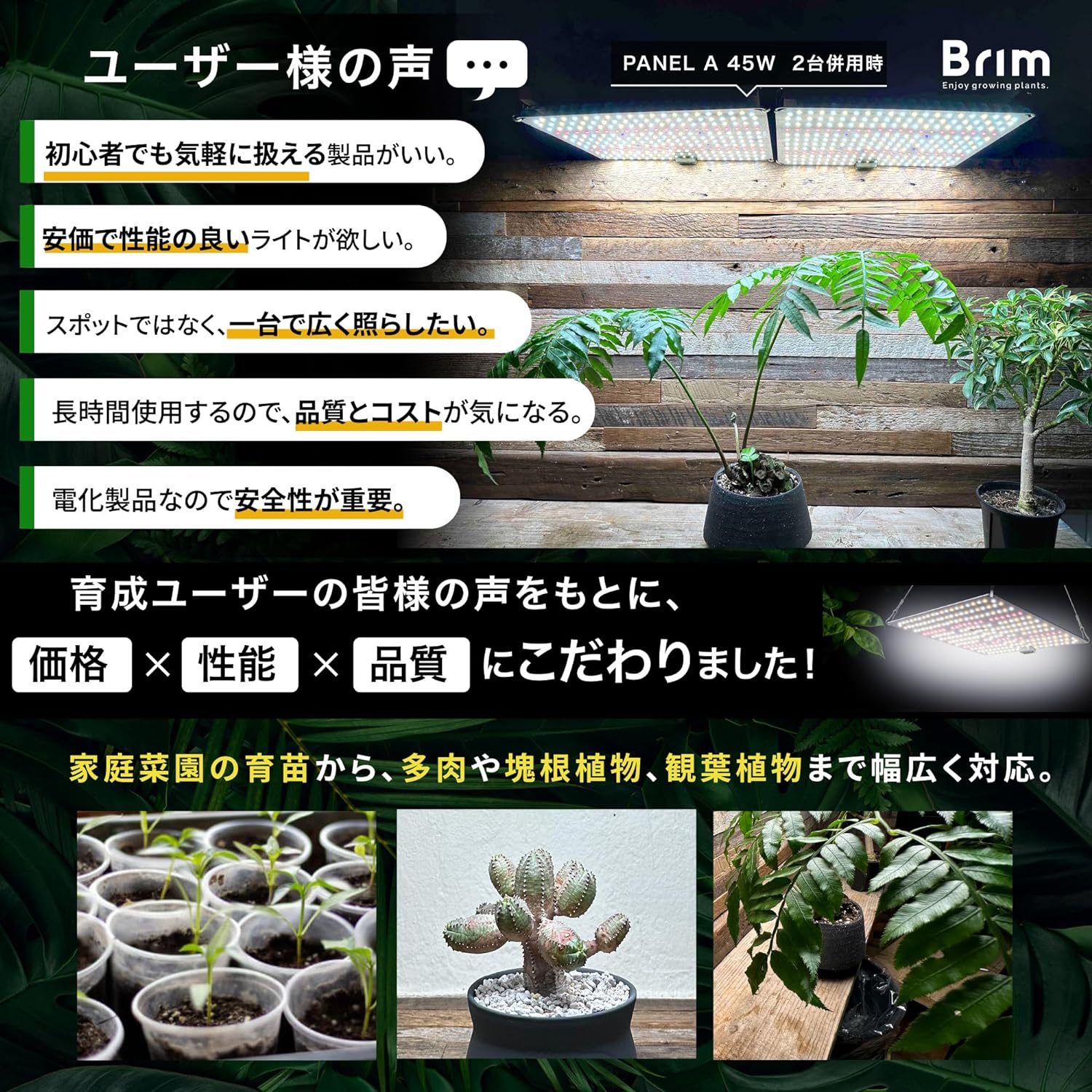 楽天市場】BRIM(ブリム) 公式店 楽天ランキング1位獲得【2枚セット