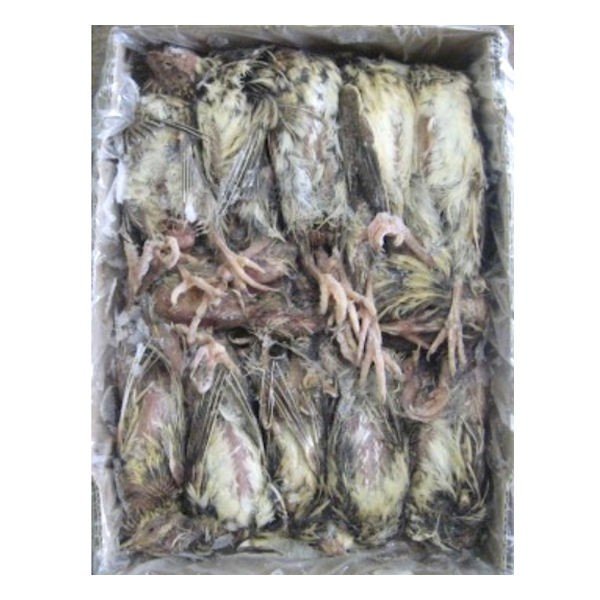 楽天市場】冷凍 ウズラ 未 処理の通販