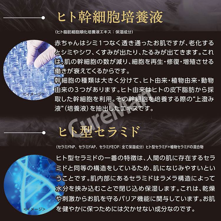 楽天市場】ヒト幹細胞配合 クリーム 175g 日本製 プラチナレーベル