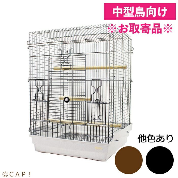 楽天市場】hoei 465 パラキートの通販