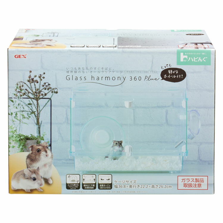 楽天市場】【最大400円OFFクーポン◇くらしにプラス】ハムスター