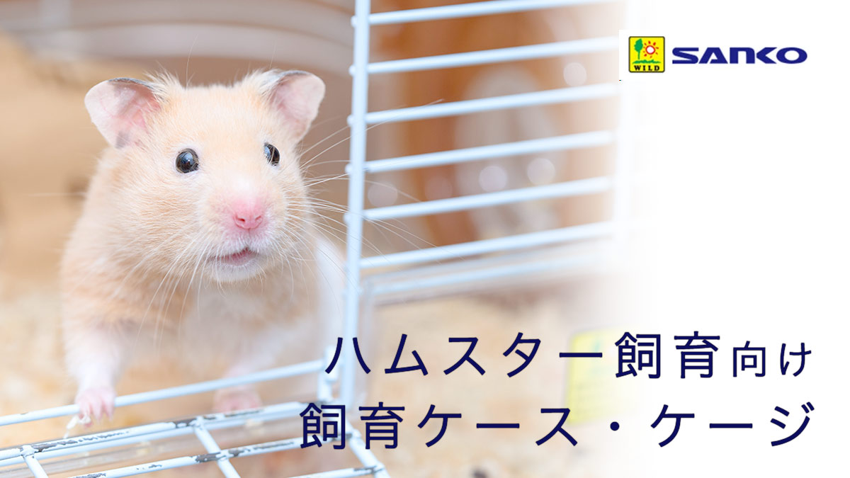 楽天市場 | charm 楽天市場店 - 三晃商会 ハムスター向け飼育ケース