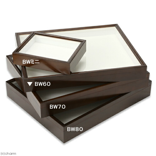 楽天市場】バードウィング製 ドイツ型標本箱 BW60（幅50．7