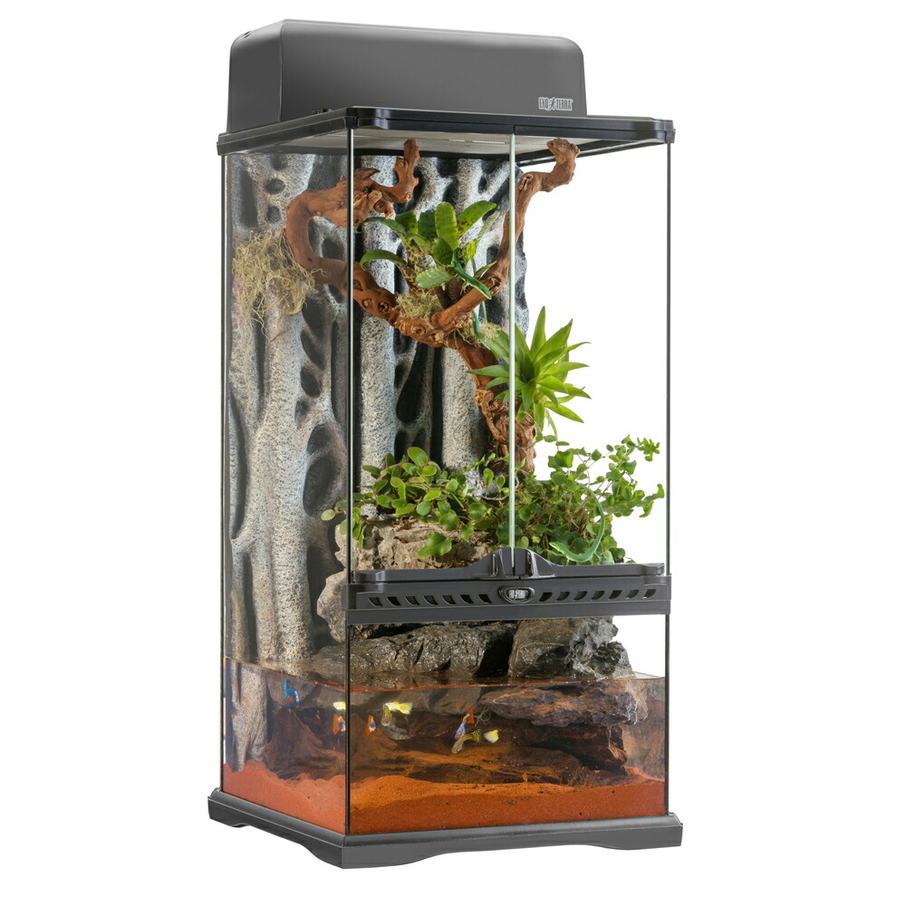 楽天市場】爬虫類ケージ GEX エキゾテラ グラステラリウム3060
